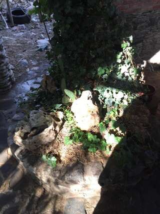 Гостевой дом Stonemens Museum Guesthouse Тбилиси-7